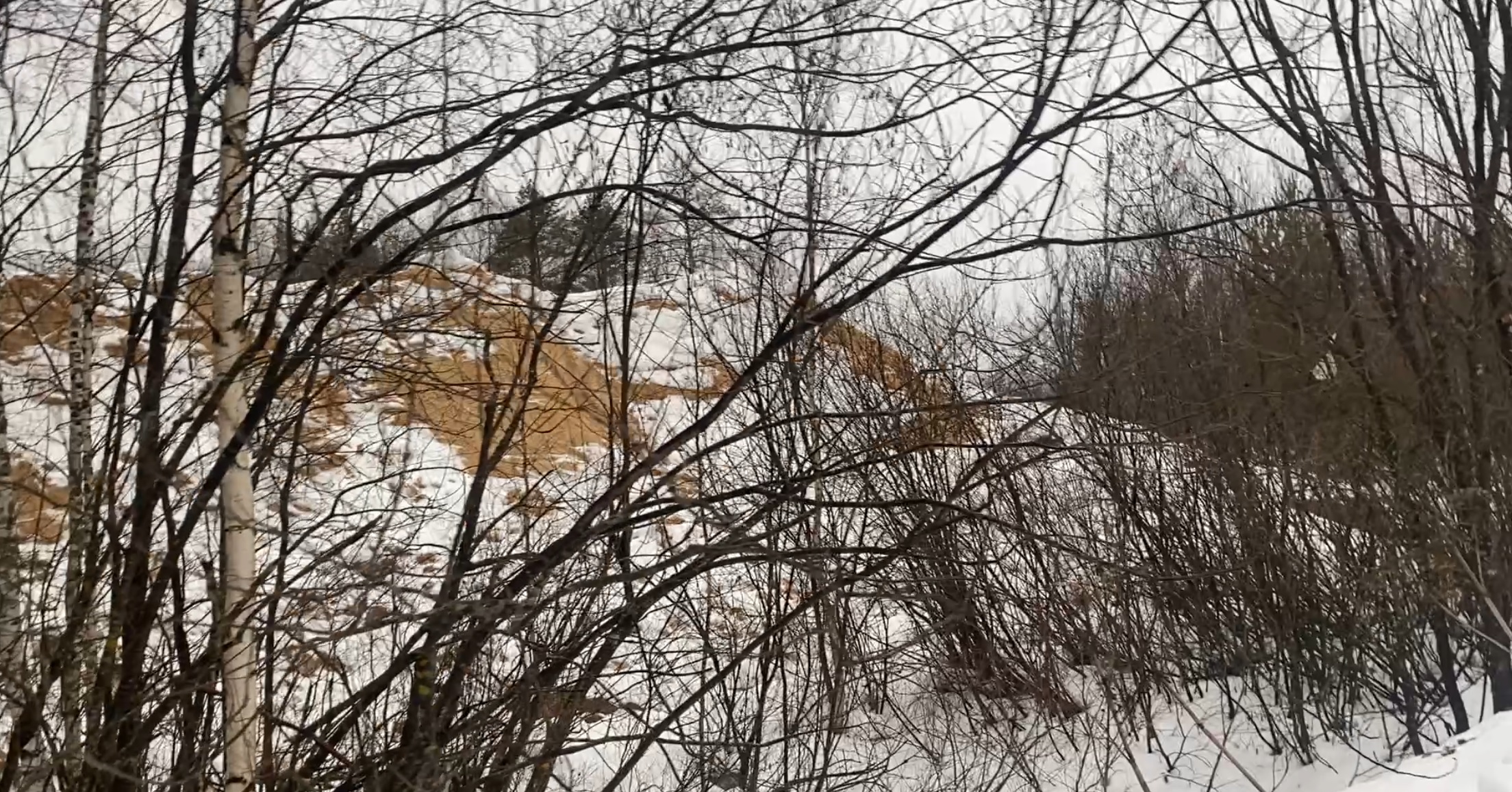 Производство пеллет в Шабалинском районе